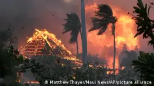有关夏威夷毛伊岛大火的书，出的速度快过火势