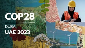 联合国气候变化大会COP28将对肉食开刀